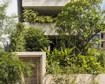 Ngôi nhà Sài Gòn bị gia chủ phủ kín cây xanh từ sân lên nóc