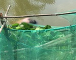 Thi thể người đàn ông nước ngoài trôi dưới kênh ở Bạc Liêu