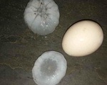 Không khí lạnh tràn xuống gây mưa đá kinh hoàng: Hạt mưa to như quả trứng trút xuống Lai Châu, Lào Cai