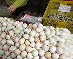 Trứng gà Việt Nam rớt giá chưa từng có, trái ngược với giá trứng tăng nhanh như giá vàng ở Mỹ