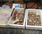 &apos;Mách lẻo&apos; đoạn phố bán các loại hải sản Quảng Ninh vẫn còn nhảy &apos;tanh tách&apos; trong bể