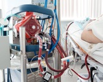 BN416 ở Đà Nẵng nguy cơ tử vong cao, BN418 còn nặng hơn, xem xét đặt ECMO