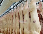 100 nghìn con lợn Thái Lan đổ về, giá thịt trong nước giảm mạnh