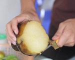 Rộ mùa khoai sâm Lào Cai: Thơm mùi nhân sâm nhưng giá rẻ như khoai lang