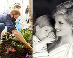 23 năm ngày mẹ chồng mất, vợ chồng Meghan Markle và Hoàng tử Harry đã lộ diện và hành động ý nghĩa