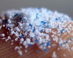 5 sự thật về những hạt nhựa: Đeo bám con người ở khắp nơi, bám vào cơ thể và gây hại