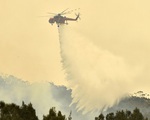Bất ngờ cơn 'mưa vàng' xoa dịu cơn đau thảm họa cháy rừng tại Úc