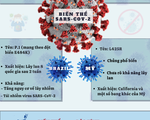 [Infographic] - Các biến thể mới của virus SARS-CoV-2 có gì nguy hiểm