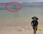 Để con chơi trên bờ rồi xuống lặn biển, ông bố chết bí ẩn trước khi bị cá mập ăn thịt, tấm ảnh cuối cùng cậu bé được chụp với bố gây ám ảnh khôn nguôi