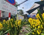 Hà Nội: Vắng khách, tiểu thương buôn hoa sau Tết đồng loạt giảm giá kịch sàn