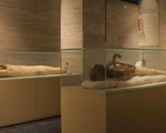 Hàng chục xác ướp hơn 3.000 tuổi &quot;diễu hành&quot; ở Ai Cập