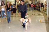 Giả mù để kiếm hơn 300.000 euro tiền thương tật Giả mù để kiếm hơn 300.000 euro tiền thương tật