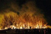 Nam sinh viên tỏ tình bằng pháo hoa, gây cháy lớn Nam sinh viên tỏ tình bằng pháo hoa, gây cháy lớn