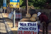 Cẩn thận với 'mít Thái chín cây' Cẩn thận với 'mít Thái chín cây'