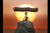 Trước tiên hãy chiến thắng chính mình Trước tiên hãy chiến thắng chính mình