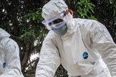 WHO: Số ca nhiễm virus Ebola đã vượt quá 10.000 người WHO: Số ca nhiễm virus Ebola đã vượt quá 10.000 người