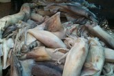 Vạch trần đường dây tẩy trắng, tiêu thụ mực bẩn Vạch trần đường dây tẩy trắng, tiêu thụ mực bẩn