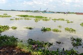 Thi thể bé gái 3 tuổi đang phân huỷ trên sông Sài Gòn Thi thể bé gái 3 tuổi đang phân huỷ trên sông Sài Gòn