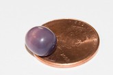 Mua trai, vớ được viên ngọc quý Mua trai, vớ được viên ngọc quý
