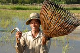 Đẩy côn, nghề kiếm nửa triệu đồng mỗi ngày ở miền Tây Đẩy côn, nghề kiếm nửa triệu đồng mỗi ngày ở miền Tây