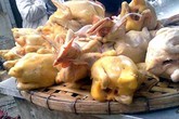 Phát hoảng với gà mía Trung Quốc luộc sẵn Phát hoảng với gà mía Trung Quốc luộc sẵn