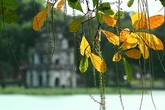 Một Hà Nội quen và lạ Một Hà Nội quen và lạ