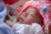 Sức sống mãnh liệt từ tai họa thảm khốc Sức sống mãnh liệt từ tai họa thảm khốc