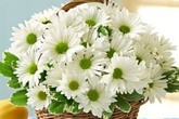 Cách chọn bình và cắm hoa cúc phù hợp với từng không gian sống Cách chọn bình và cắm hoa cúc phù hợp với từng không gian sống