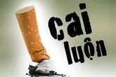 Nhiều công chức đã bỏ thói quen hút thuốc nơi làm việc Nhiều công chức đã bỏ thói quen hút thuốc nơi làm việc