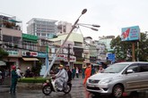 TP.HCM: Cây đè nát nhiều xe máy trong nhà hát TP.HCM: Cây đè nát nhiều xe máy trong nhà hát