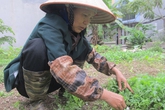 Con rể xả súng hại cả nhà mẹ vợ chỉ vì bị nhắc nhở thói bài bạc, phá gia chi tử Con rể xả súng hại cả nhà mẹ vợ chỉ vì bị nhắc nhở thói bài bạc, phá gia chi tử