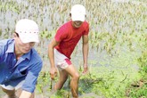 Miền Trung lại “sốt” đỉa Miền Trung lại “sốt” đỉa