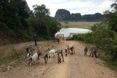 Bên khu kinh tế là bản… “ba không” Bên khu kinh tế là bản… “ba không”