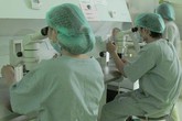 Bệnh viện Bạch Mai: Thành công với kỹ thuật thụ tinh trong ống nghiệm Bệnh viện Bạch Mai: Thành công với kỹ thuật thụ tinh trong ống nghiệm