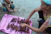 Cận cảnh chợ chuột đồng quê ở Tân Phong Cận cảnh chợ chuột đồng quê ở Tân Phong