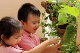 Giáo dục sớm - Một cách học mà chơi lý thú Giáo dục sớm - Một cách học mà chơi lý thú