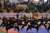 Hà Nội: Sôi động, đẹp mắt hội diễn võ thuật cổ truyền Hà Nội: Sôi động, đẹp mắt hội diễn võ thuật cổ truyền