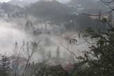 Hình ảnh sương muối, mây mù “tấn công” Sa Pa, Mẫu Sơn Hình ảnh sương muối, mây mù “tấn công” Sa Pa, Mẫu Sơn