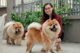 Kiếm tiền tỷ từ nuôi thú "độc" Kiếm tiền tỷ từ nuôi thú "độc"