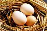Cách đơn giản để biết trứng mới đẻ hay để lâu Cách đơn giản để biết trứng mới đẻ hay để lâu