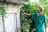 Vụ trộm táo tợn hé mở lai lịch vương giả của ngôi mộ cổ Vụ trộm táo tợn hé mở lai lịch vương giả của ngôi mộ cổ