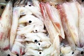 Cách chọn ghẹ, mực tươi ngon Cách chọn ghẹ, mực tươi ngon
