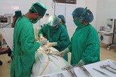Bệnh viện Đa khoa Gia Bình Nâng cao chất lượng khám, chữa bệnh Bệnh viện Đa khoa Gia Bình Nâng cao chất lượng khám, chữa bệnh