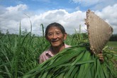 Anh hùng Hồ Giáo qua đời Anh hùng Hồ Giáo qua đời