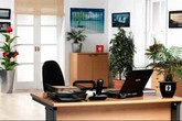 Đặt bàn làm việc như thế nào để hút tài lộc năm Ất Mùi Đặt bàn làm việc như thế nào để hút tài lộc năm Ất Mùi