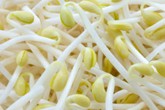 3 sai lầm khiến giá đỗ trở nên nguy hại cho sức khỏe 3 sai lầm khiến giá đỗ trở nên nguy hại cho sức khỏe