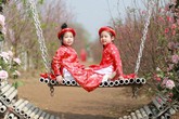 Những điểm chụp ảnh siêu đẹp ở Hà Nội dịp Tết Những điểm chụp ảnh siêu đẹp ở Hà Nội dịp Tết