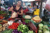 Rau xanh khan hiếm: Hà thành liều mình ăn hàng Tàu Rau xanh khan hiếm: Hà thành liều mình ăn hàng Tàu