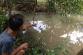 Cưới vợ ở tuổi 14 và bi kịch mối tình trẻ con Cưới vợ ở tuổi 14 và bi kịch mối tình trẻ con