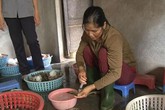 Bơm tạp chất lạ vào tôm sú, bán cho trung tâm tiệc cưới Bơm tạp chất lạ vào tôm sú, bán cho trung tâm tiệc cưới